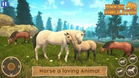 骑马世界模拟器Horse Simulator